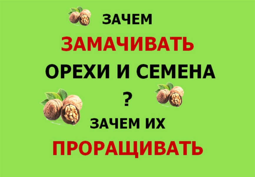 Почему семена. Зачем замачивать орехи.