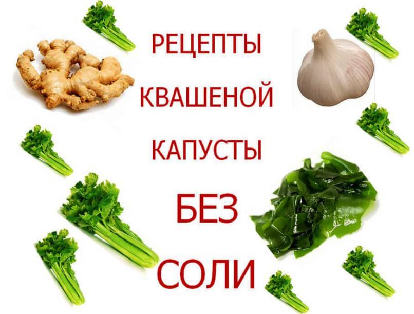 Рецепты квашеной капусты без соли