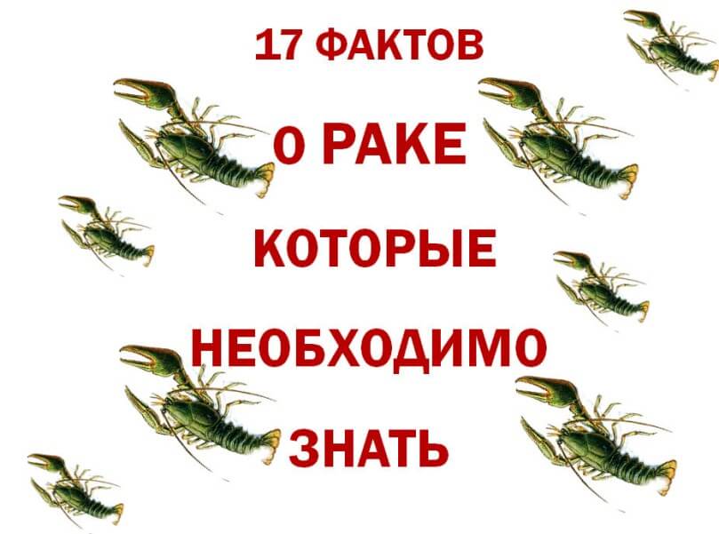 17 фактов. Онкология интересные факты. Факты о Рачках. Самый интересный факт,о раке.. Rak o‘zbekchasiga.