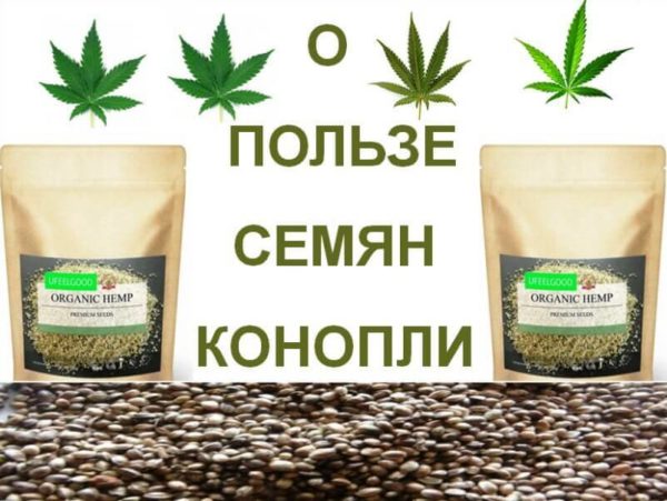 Хороший сайт семян конопли марихуана при раке