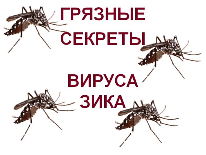 Dirty-Secrets-Zika-virus