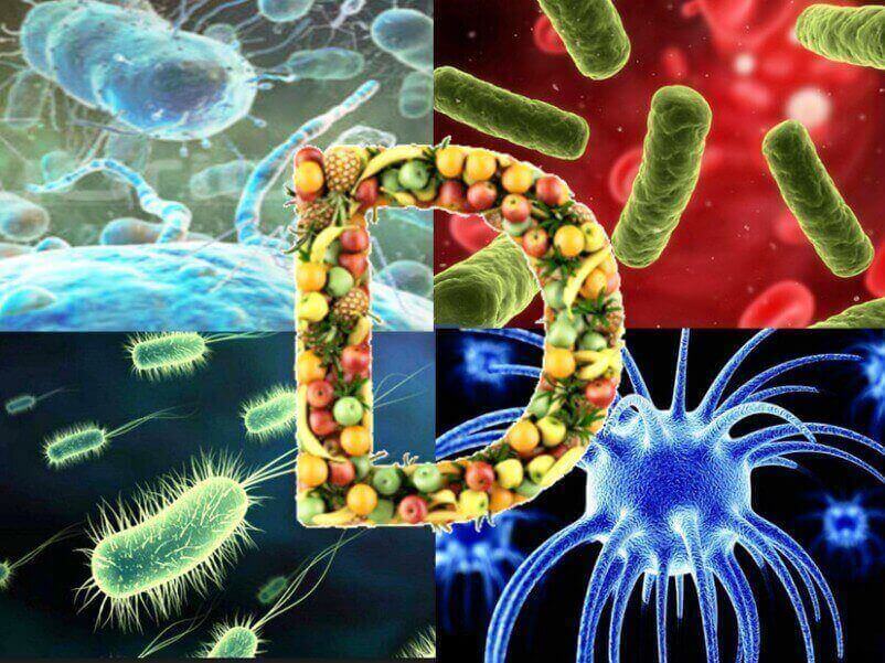 Vitamin-D-against-bacteria-viruses-and-fungi