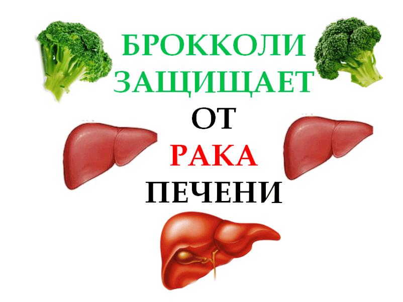 Broccoli-protects-against-liver-cancer