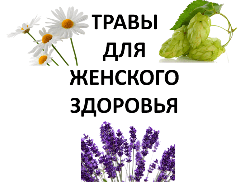 Herbs-for-Womens-Health