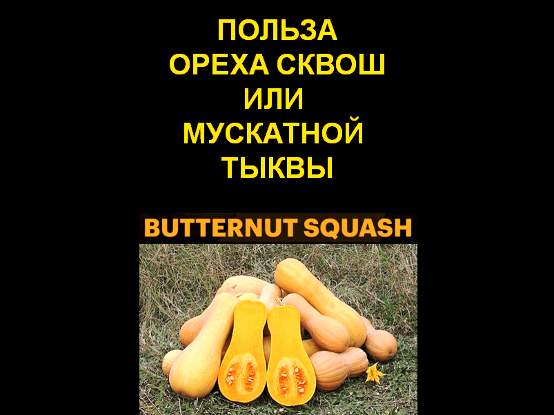 Use-nut-squash-or-butternut-squash