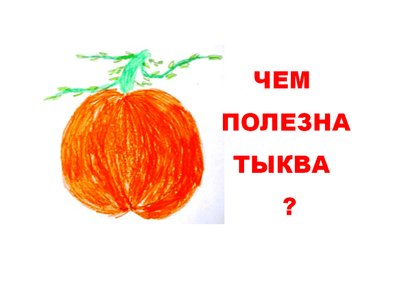 Чем полезна тыква. Ты кто чем полезна тыква для детей.