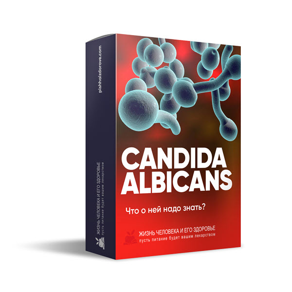 Candida albicans лечение. Кандида альбиканс препарат. Лечение Candida albicans у женщин препараты. Кандида альбиканс у мужчин.
